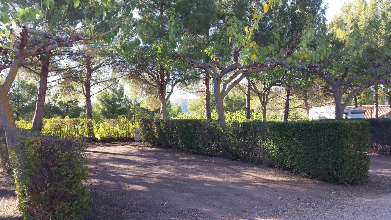 Montsant Park Camping & Bungalow Ulldemolins Exterior foto